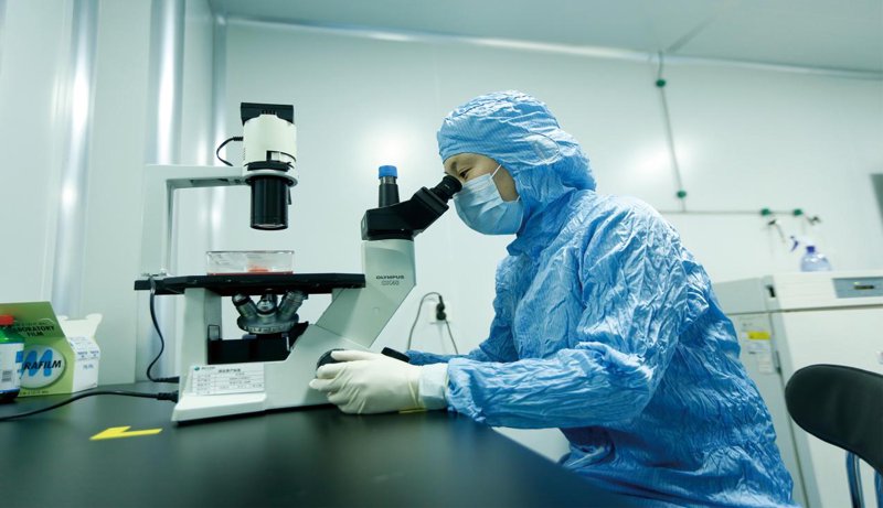 上海生物科技有限公司:行业风向标下的创新之路